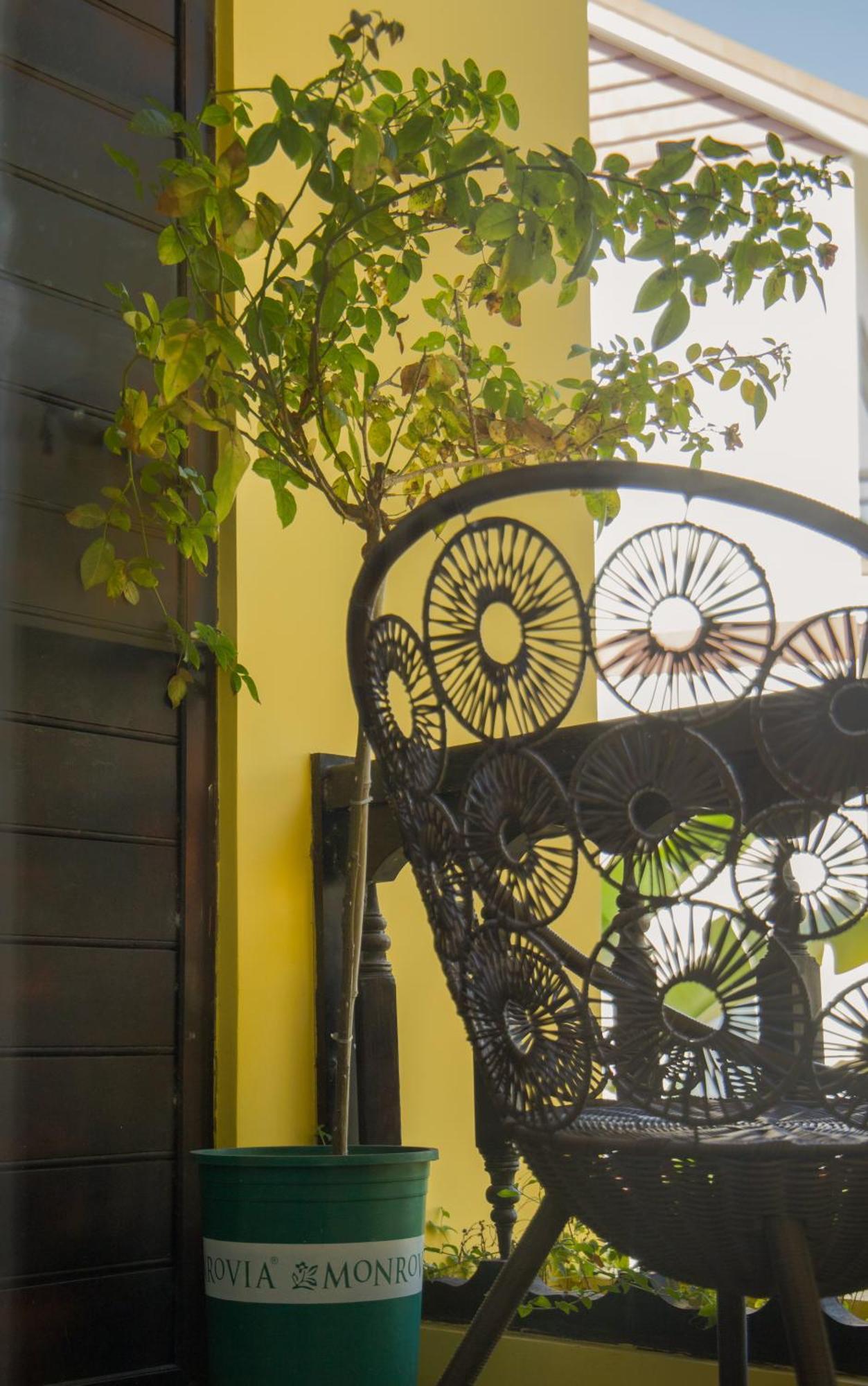 Rosie Villa Hoi An Exterior photo